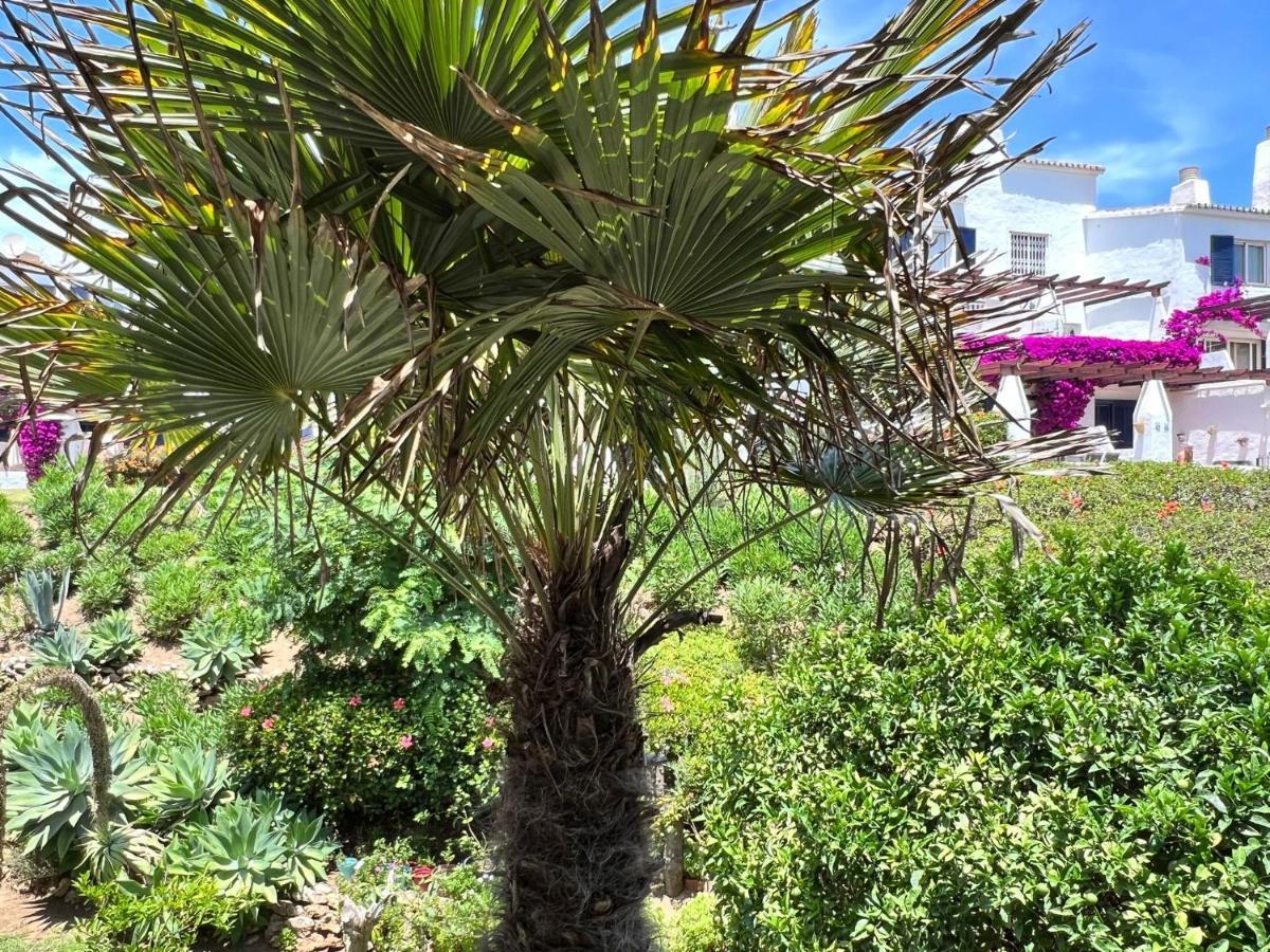 Newly Renovated 2 Bedroom Beachfront House Sitio de Calahonda Εξωτερικό φωτογραφία
