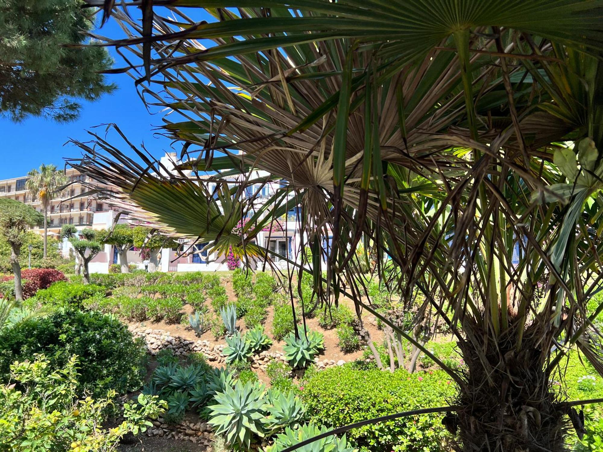 Newly Renovated 2 Bedroom Beachfront House Sitio de Calahonda Εξωτερικό φωτογραφία